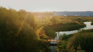 Een ochtendzon schijnt over de circulaire proeftuin Greenfield, met waterpartijen, groene paden en open houten structuren. Op de achtergrond is het gebouw van Fair Furniture Group zichtbaar.